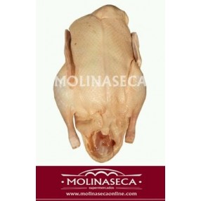 Pato peso aproximado 2 Kg